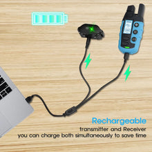 Collier de Dressage PuppyCare™ - Sans Choc Électrique