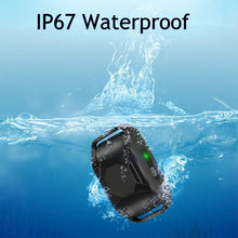 Collier de Dressage PuppyCare™ - Sans Choc Électrique