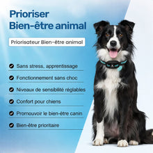 Collier de Dressage PuppyCare™ - Sans Choc Électrique