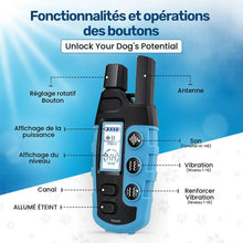 Collier de Dressage PuppyCare™ - Sans Choc Électrique