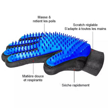 gant de brossage / toilettage pour chats et chiens