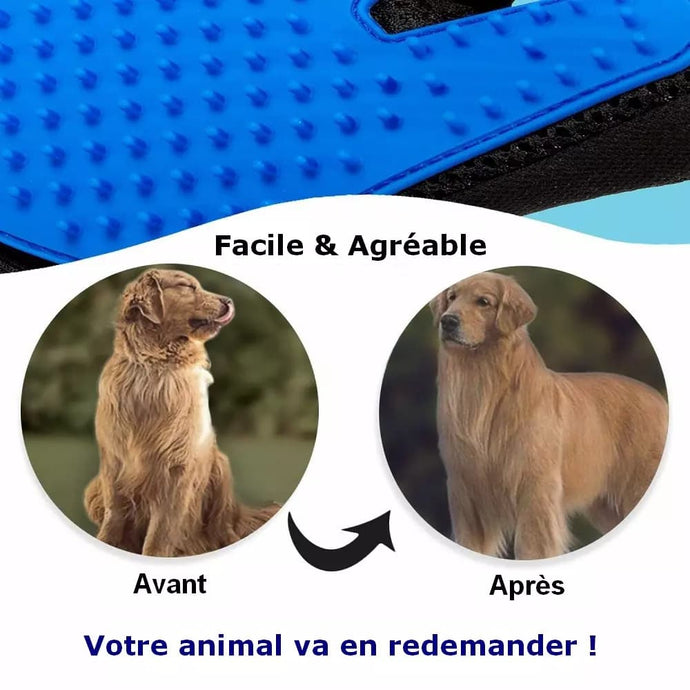 gant de brossage / toilettage pour chats et chiens